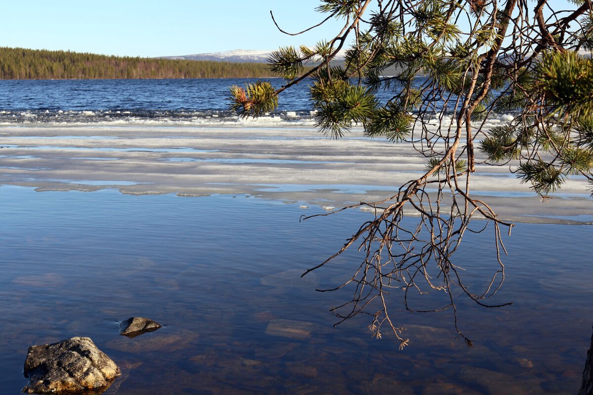 Пинозеро - Ольга 