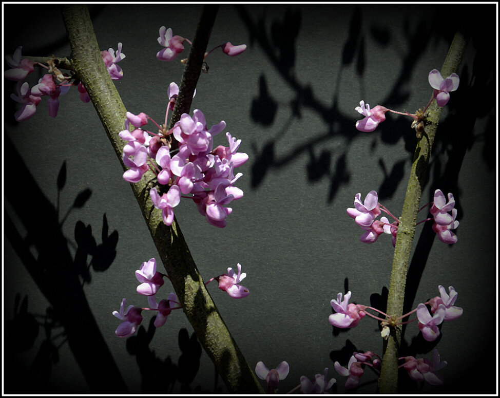 Жизнь - Aleksandr Gal Жизнь - Aleksandr Gal