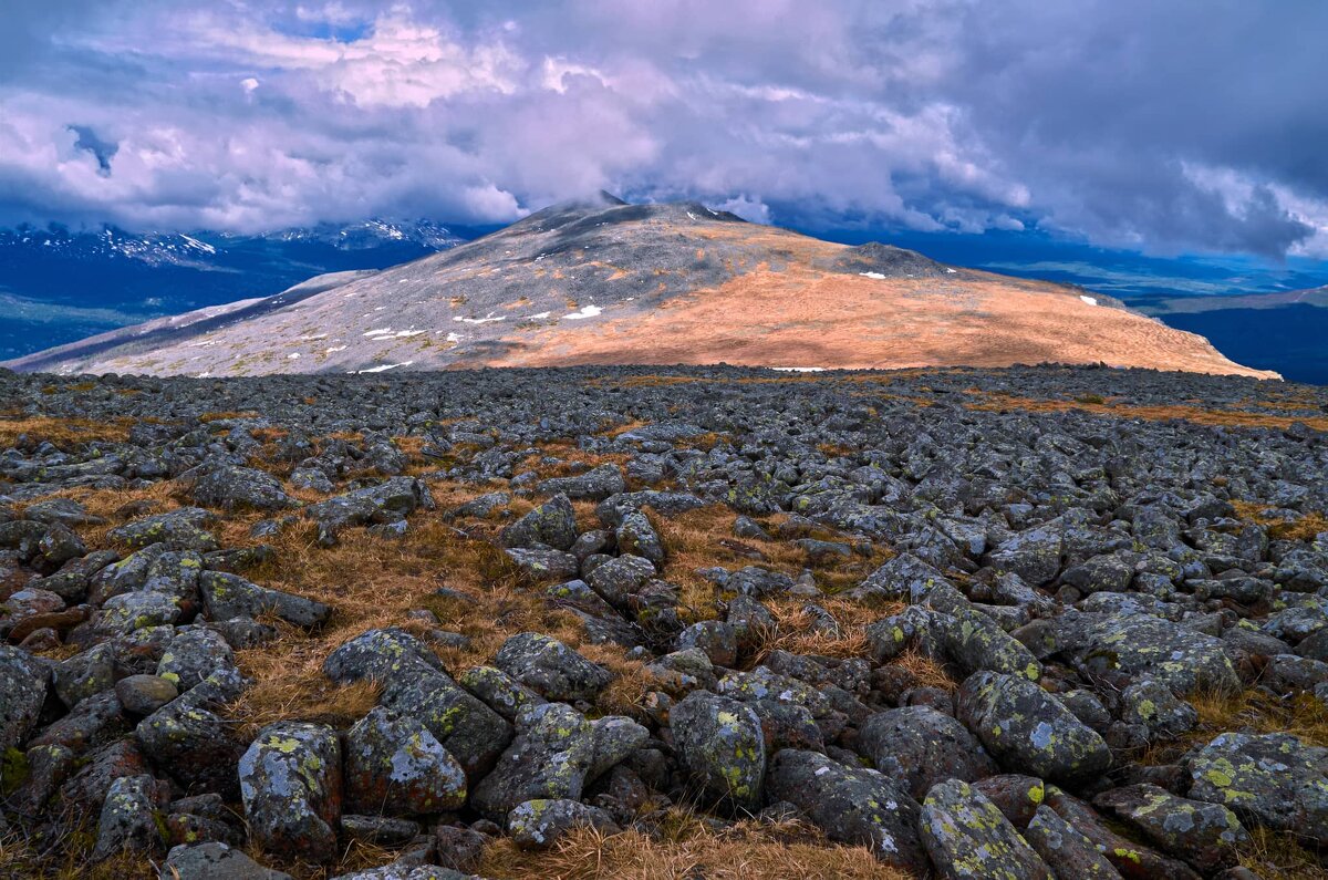 Курумы 2. - Юрий кот Курумы 2. - Юрий кот