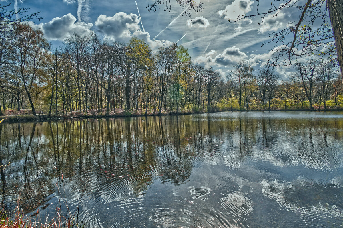 Рыбный пруд - Jakob Dick