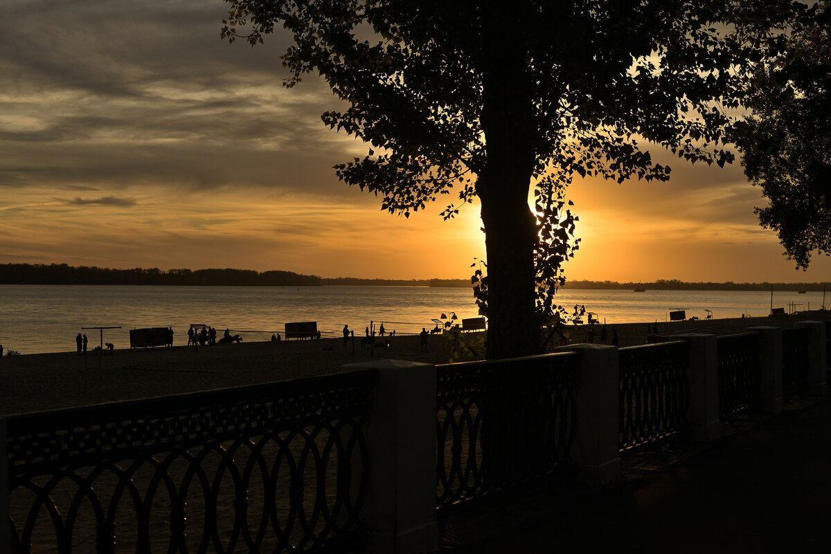 * - Константин Ясинский