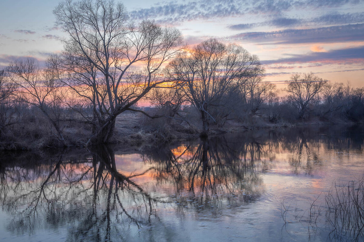 **** - Елизавета .