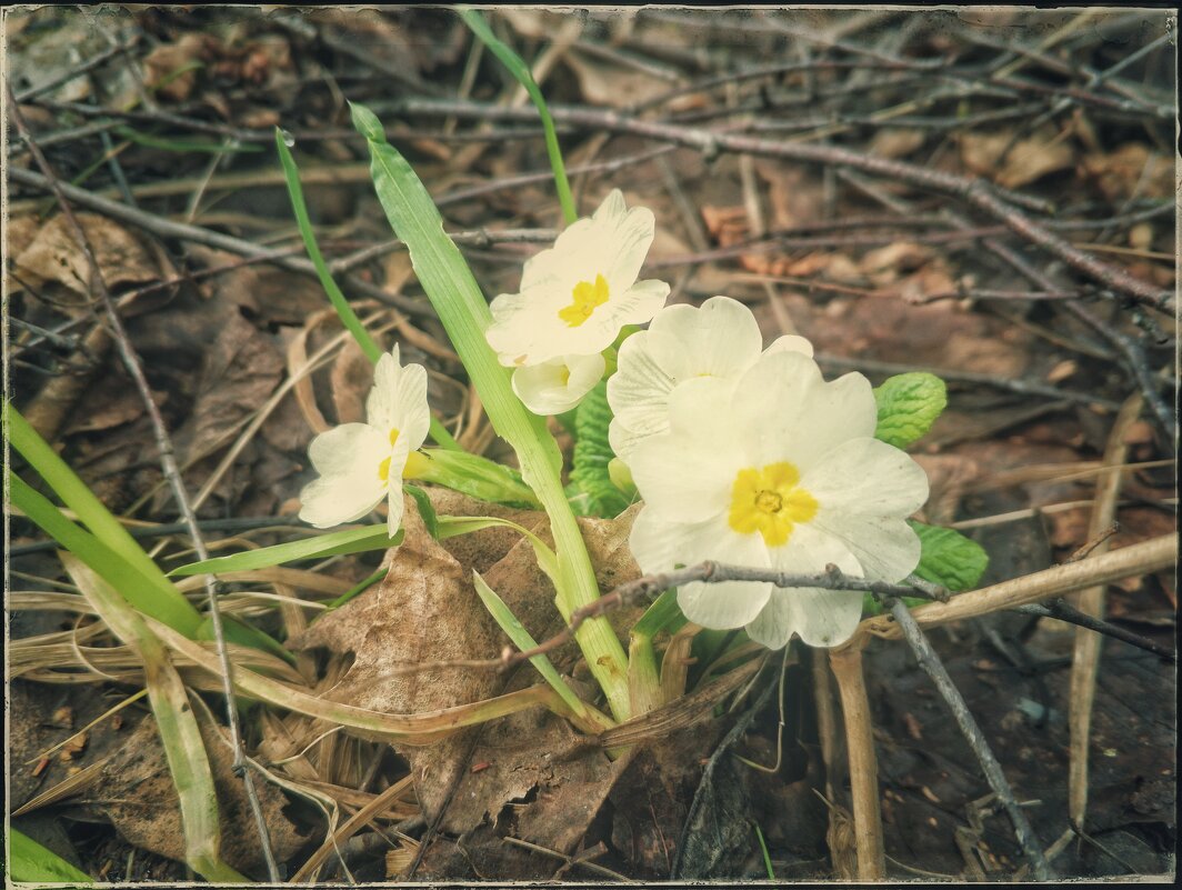 * * * - Руслан * * * - Руслан