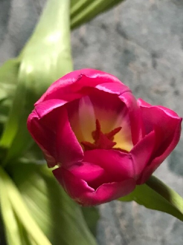 Весна.... - Татьяна Юрасова