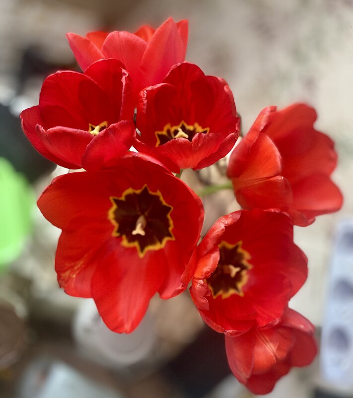 С праздниками. - Alexey YakovLev