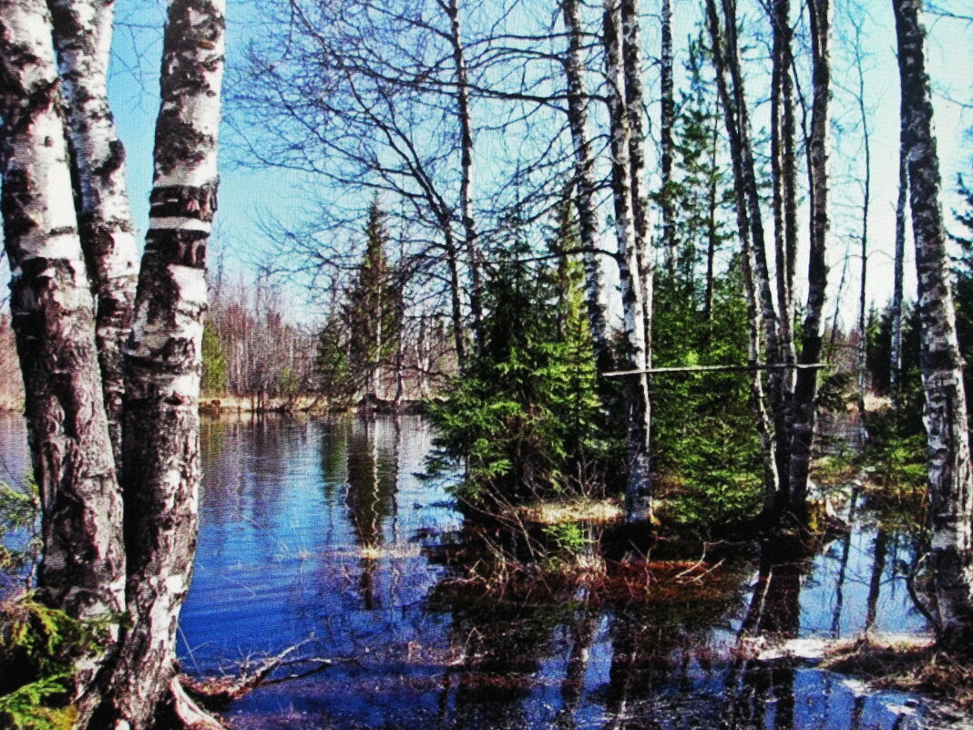 Красота весны - Людмила Смородинская