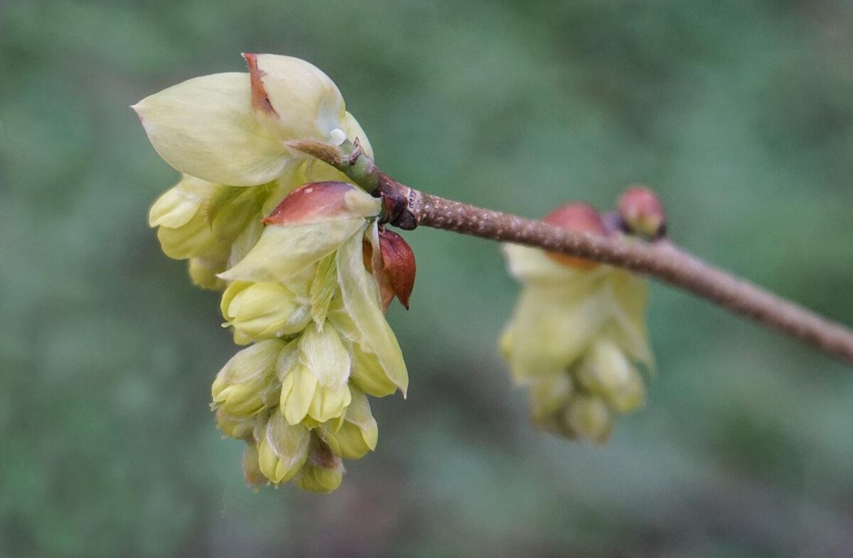 Пробуждение - Ольга 