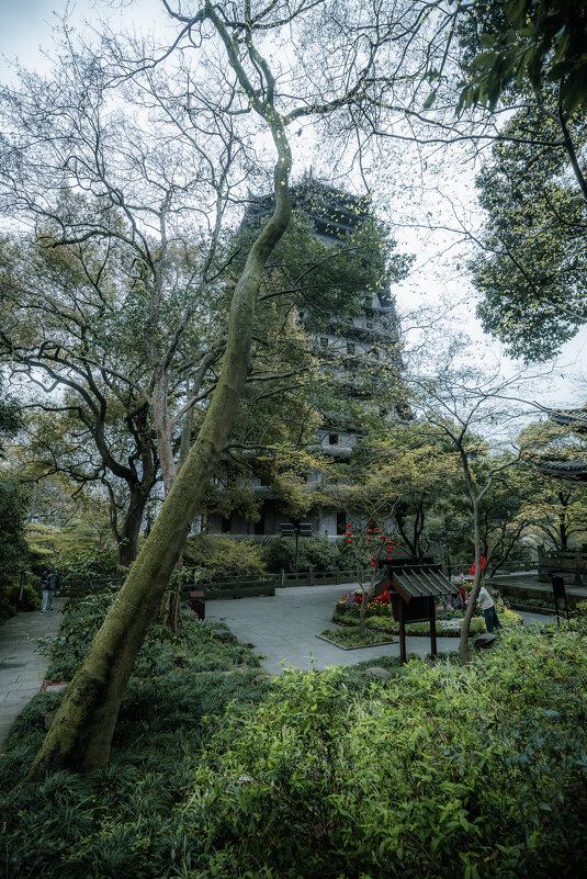 Пагода шести гармоний в Ханчжоу - Дмитрий Пагода шести гармоний в Ханчжоу - Дмитрий