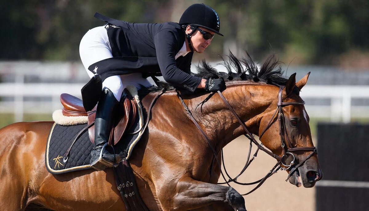 Конный спорт - СЕРГЕЙ ФИЛОЧКИН