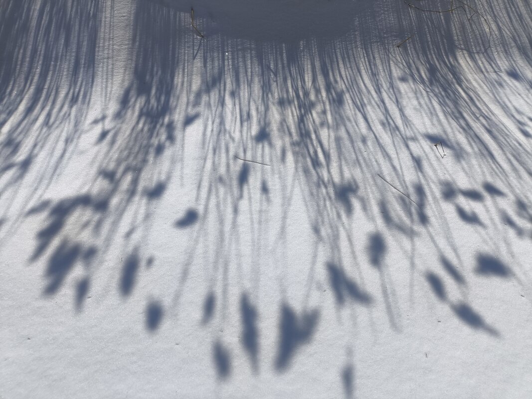 Весна - Anna Ivanova Весна - Anna Ivanova