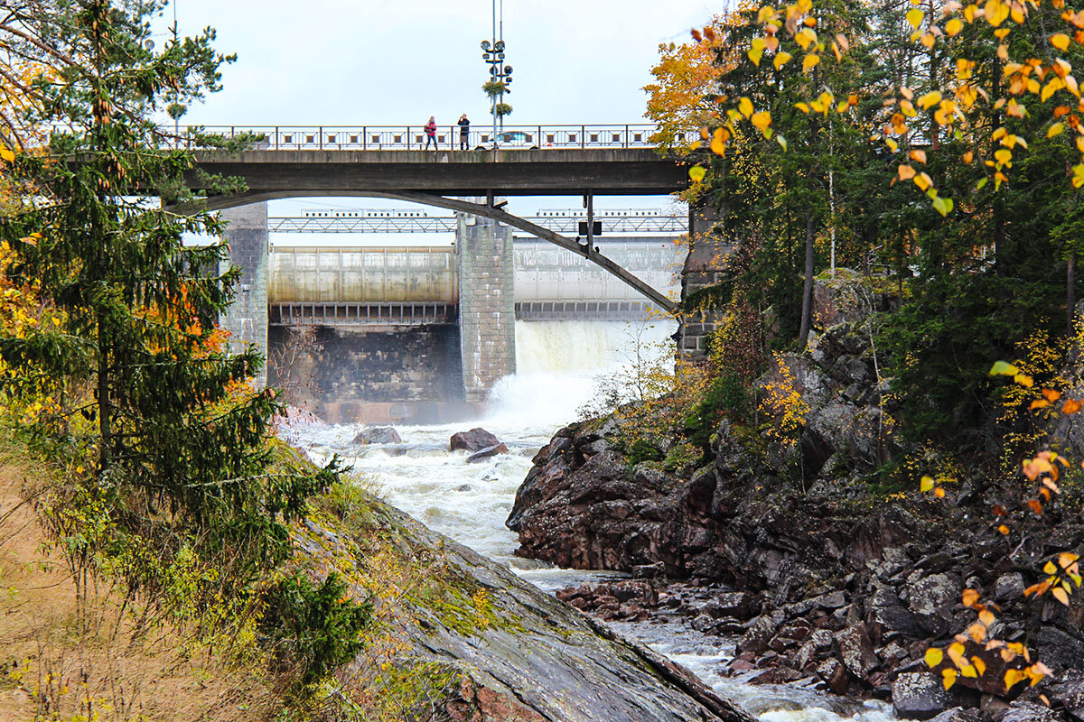 Мост самоубийц - Сергей Сомихин Мост самоубийц - Сергей Сомихин