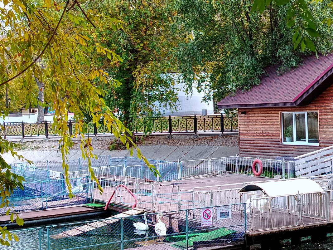 Лебединый дом - Надежда 