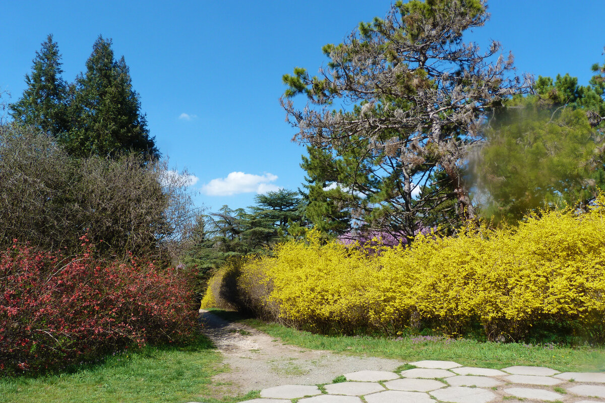 Пейзажи Крыма - Валентин Семчишин Пейзажи Крыма - Валентин Семчишин
