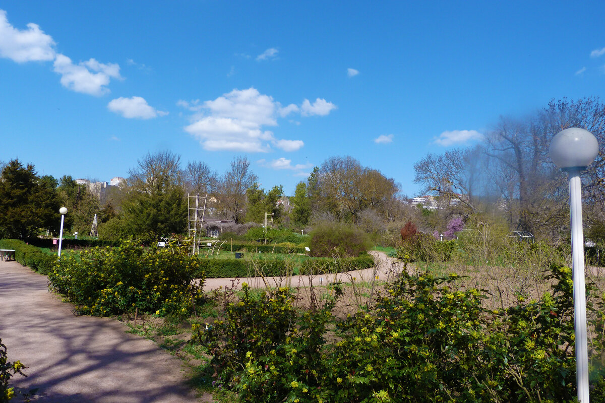 Весенний пейзаж - Валентин Семчишин Весенний пейзаж - Валентин Семчишин