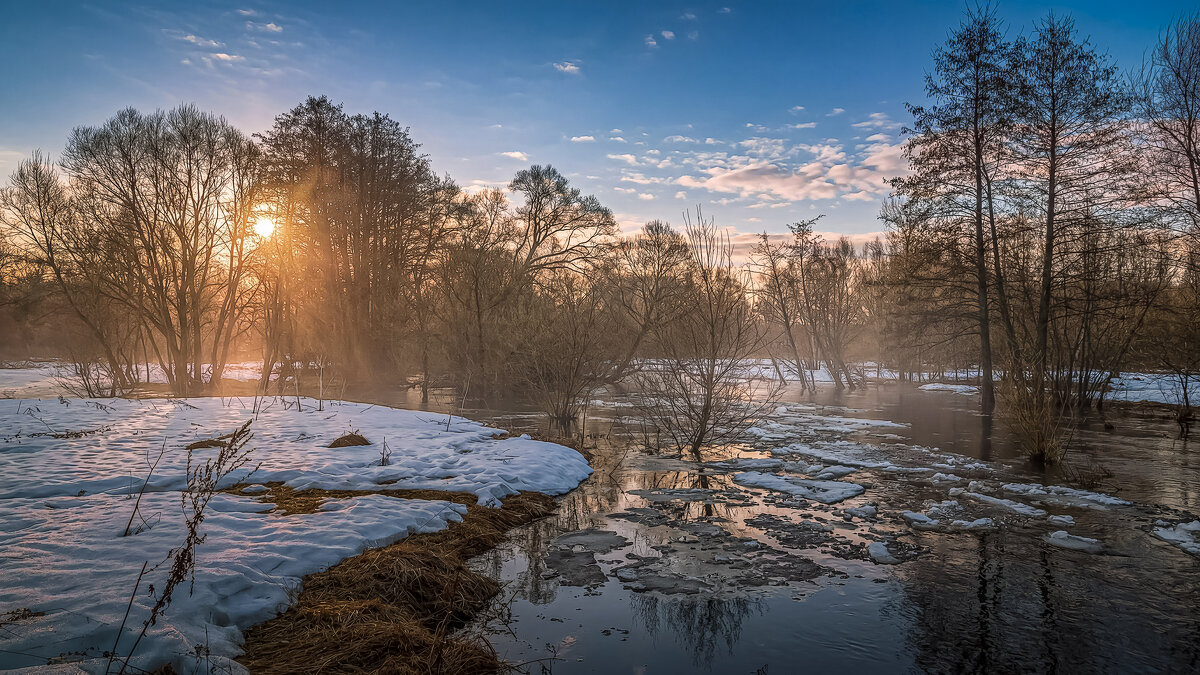 Весна - Aleksey Afonin