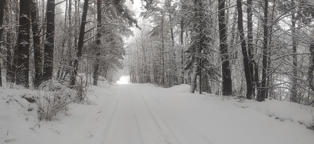 Зимняя дорога. - delete (id213252) 