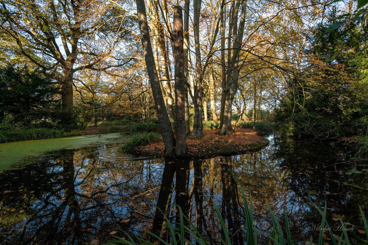 В парке... - Николай Гирш