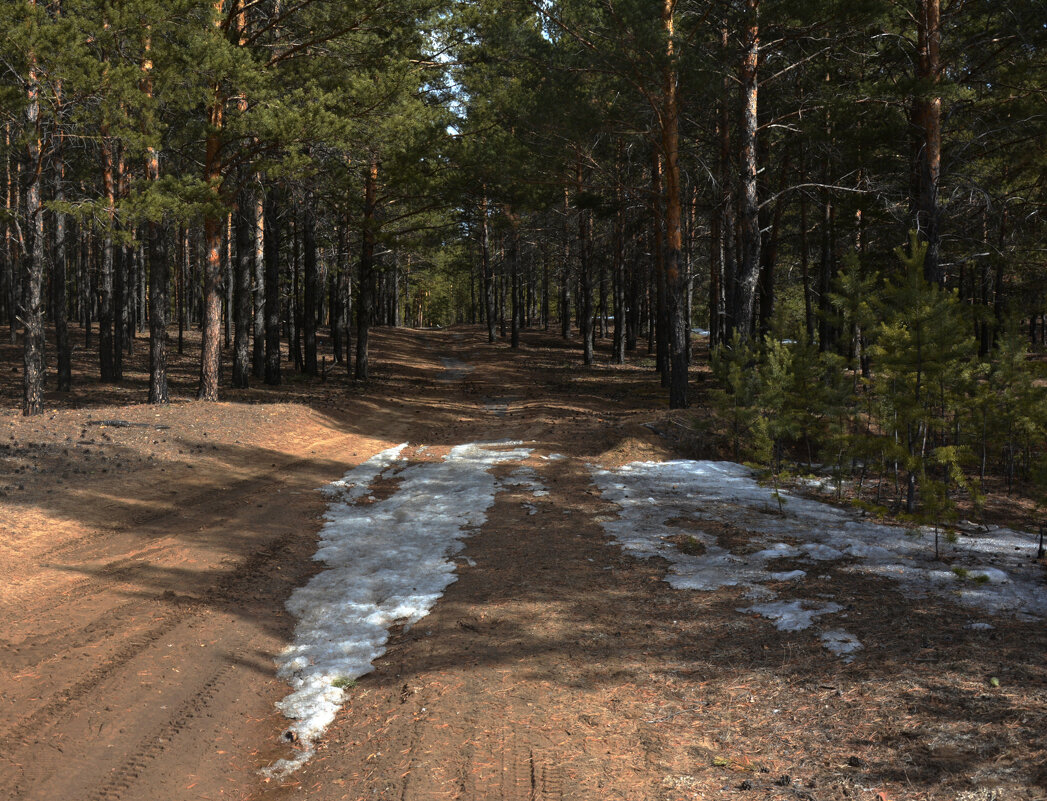 *** - Наталья Покацкая *** - Наталья Покацкая