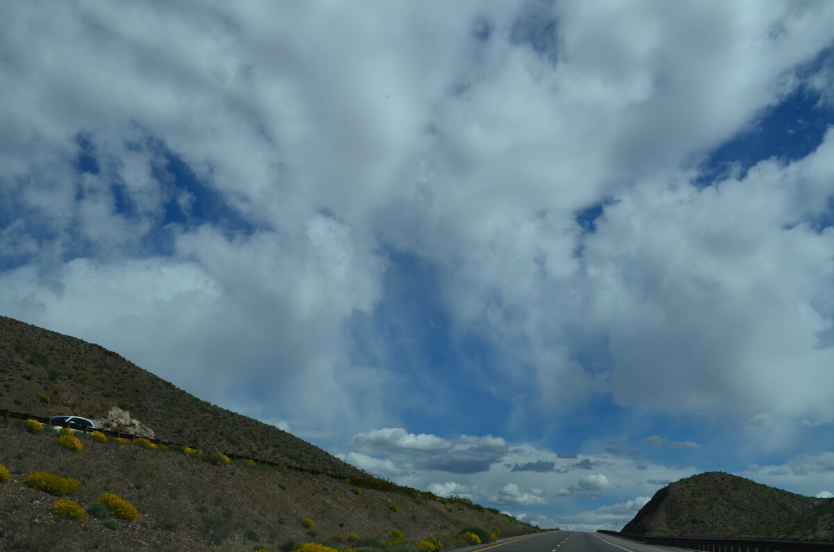 Мы едем навстречу... - Таня Фиалка