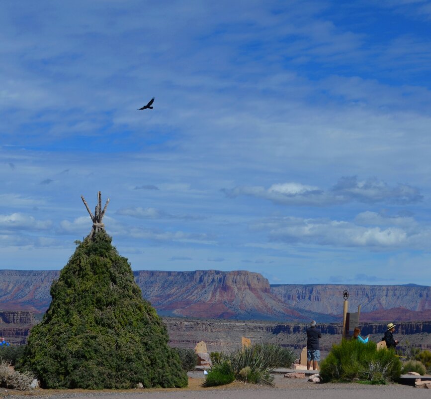Grand Canyon - Таня Фиалка