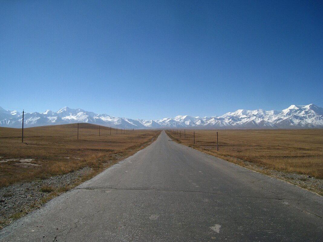 Дорога дальняя... - unix (Илья Утропов)