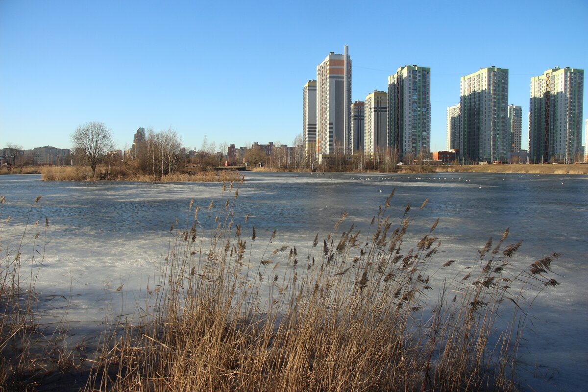 Март - Наталья Герасимова