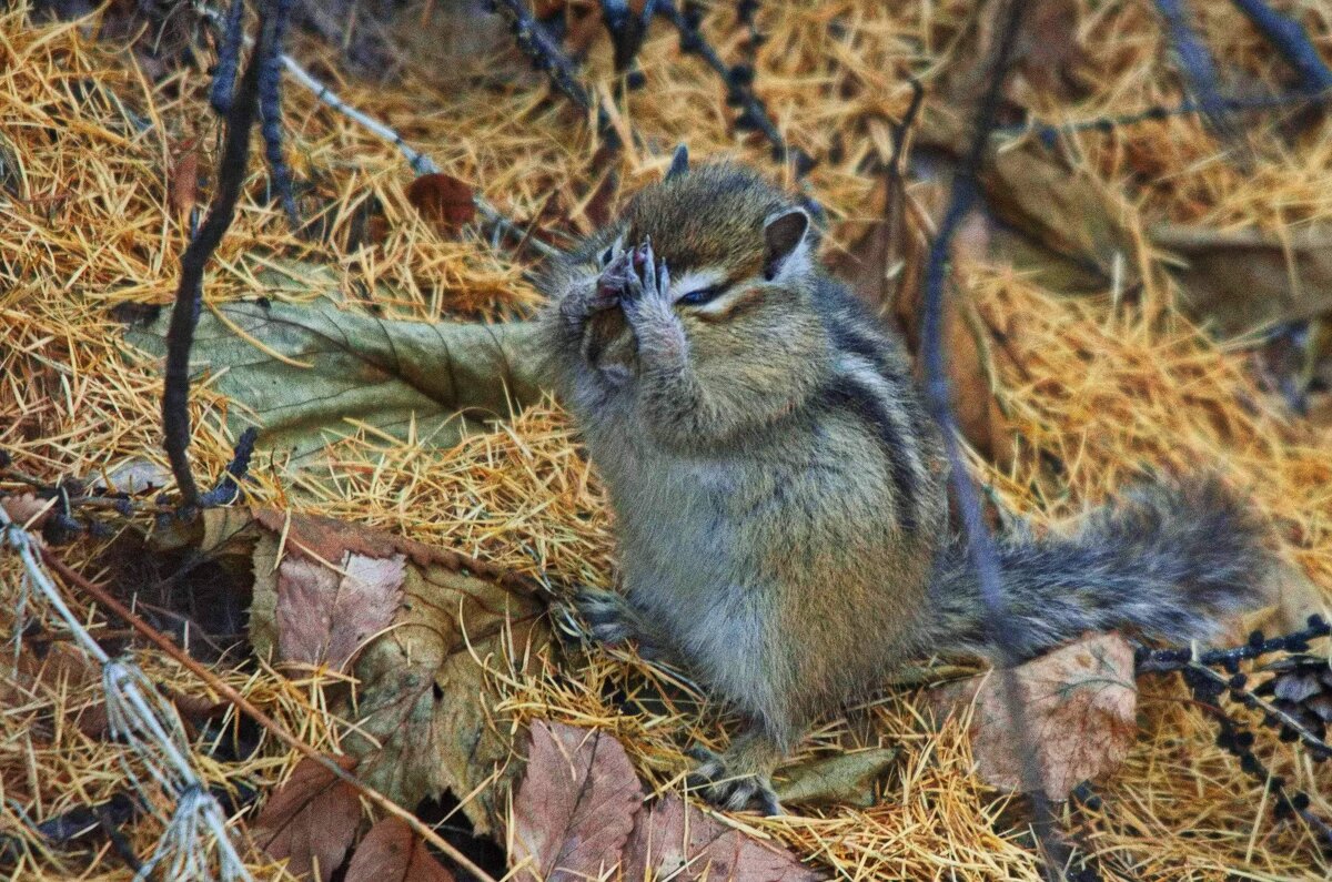 Я иду искать - Александр Артюхов