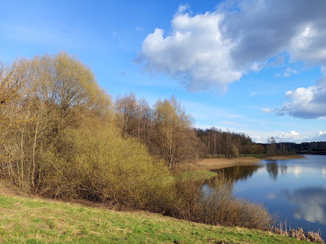 Любимый уголок в апреле - Андрей Лукьянов