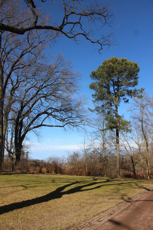 Парк Александрия - Наталья Герасимова Парк Александрия - Наталья Герасимова