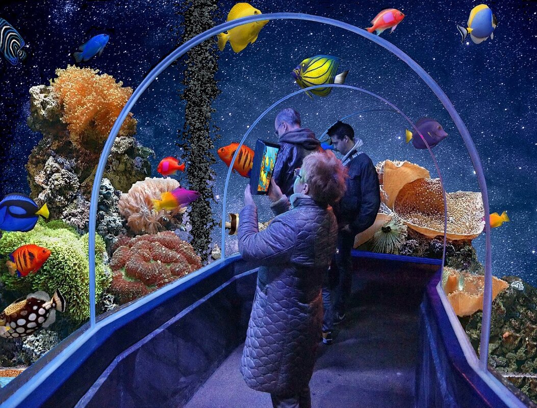 Подводный мир -3 - irina Schwarzer 