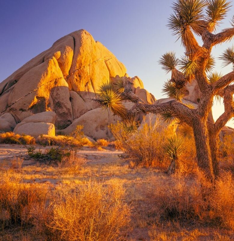 Joshua Tree National Park - Валерий Кокорев