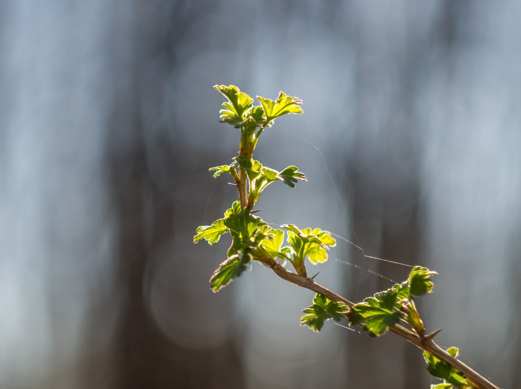 ___ - Yuriy V ___ - Yuriy V