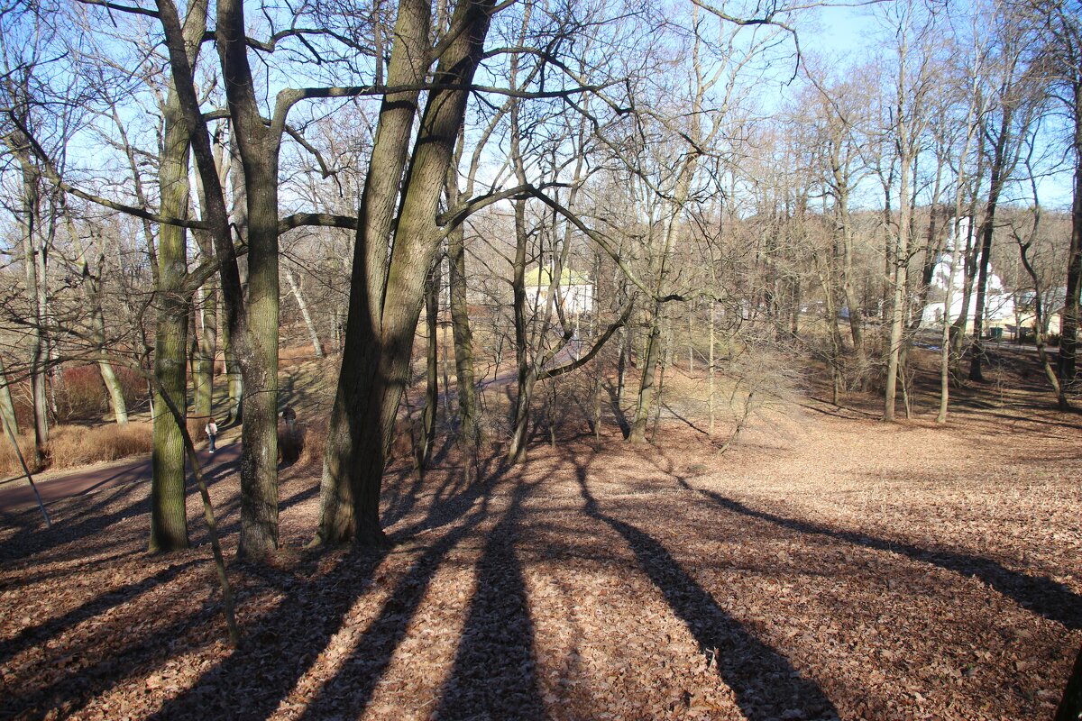 Парк Александрия - Наталья Герасимова Парк Александрия - Наталья Герасимова