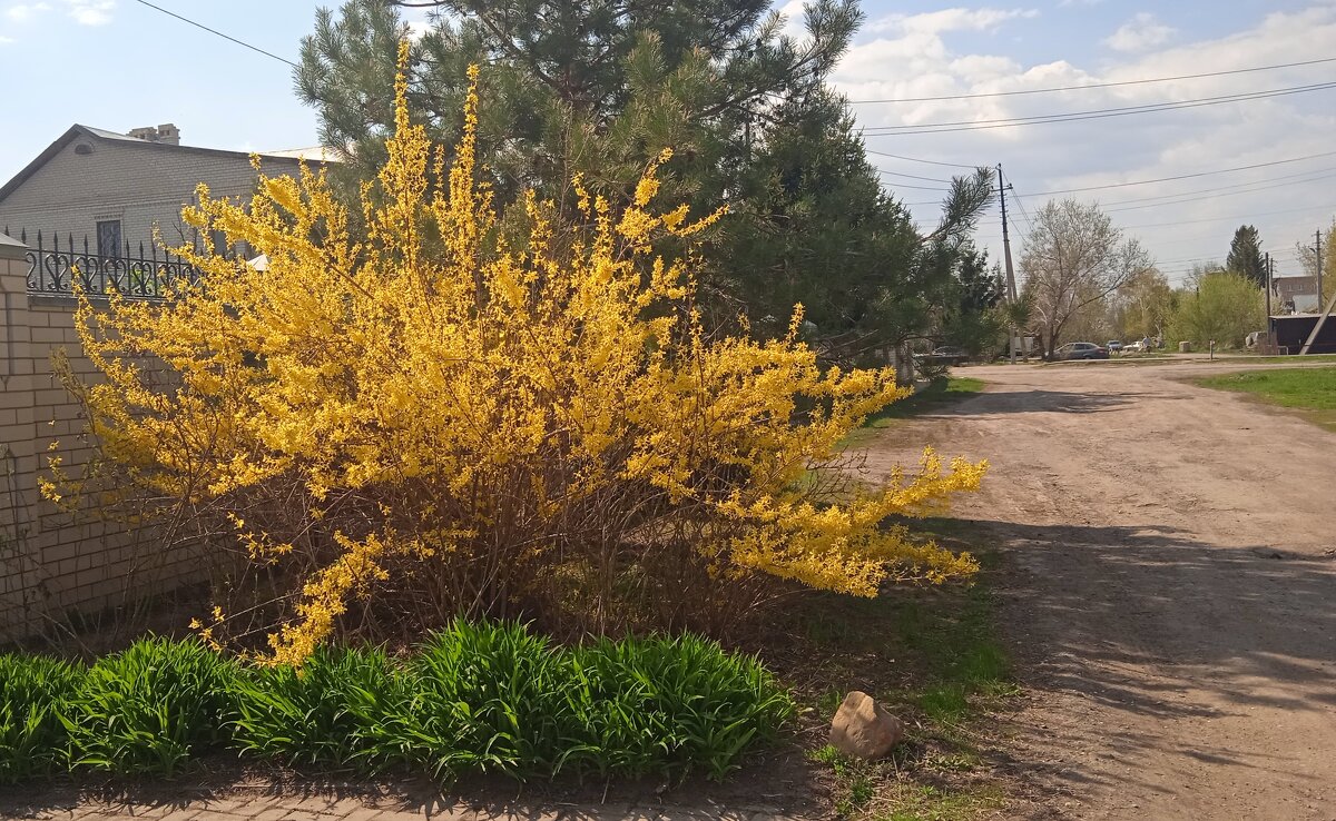 Прошлогодний апрель был куда веселей - Елена Шаламова Прошлогодний апрель был куда веселей - Елена Шаламова