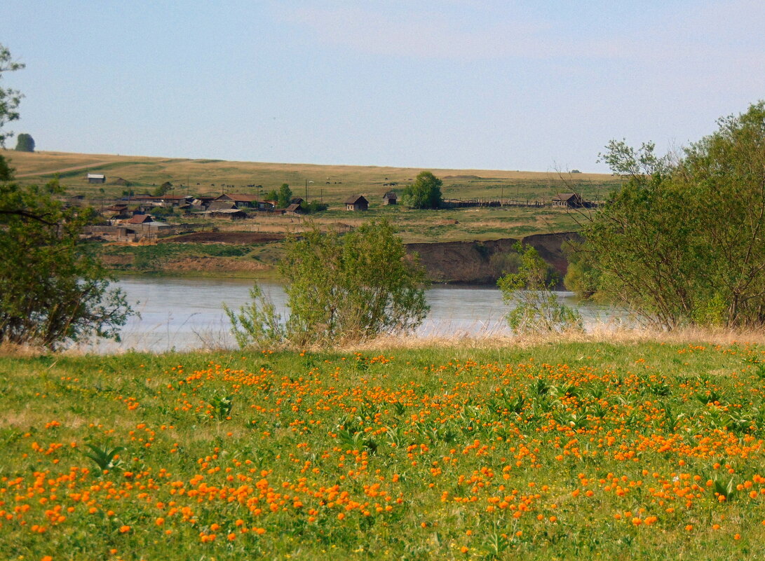 А на том берегу...деревенька стоит. - nadyasilyuk Вознюк
