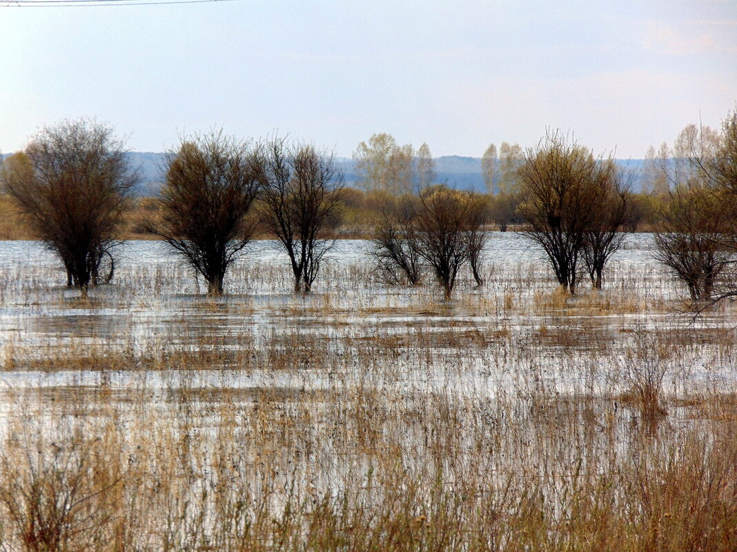 Весенние воды. - nadyasilyuk Вознюк Весенние воды. - nadyasilyuk Вознюк