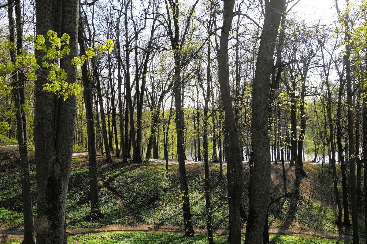 Апрельские зарисовки - Рита Симонова