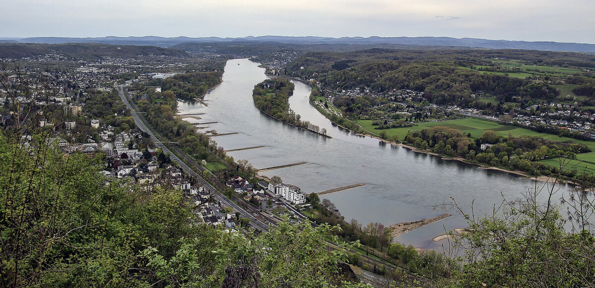 Рейн - Андроник Александр 