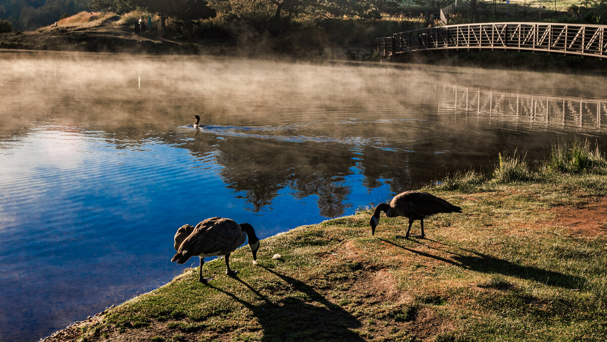 Утро на озере - Николай Бабухин