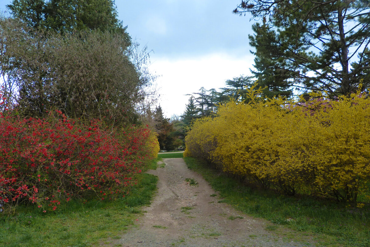 Природа  Крыма - Валентин Семчишин