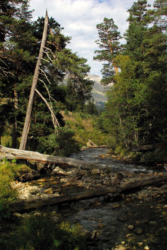 Горный этюд ... - Андрей Любимов
