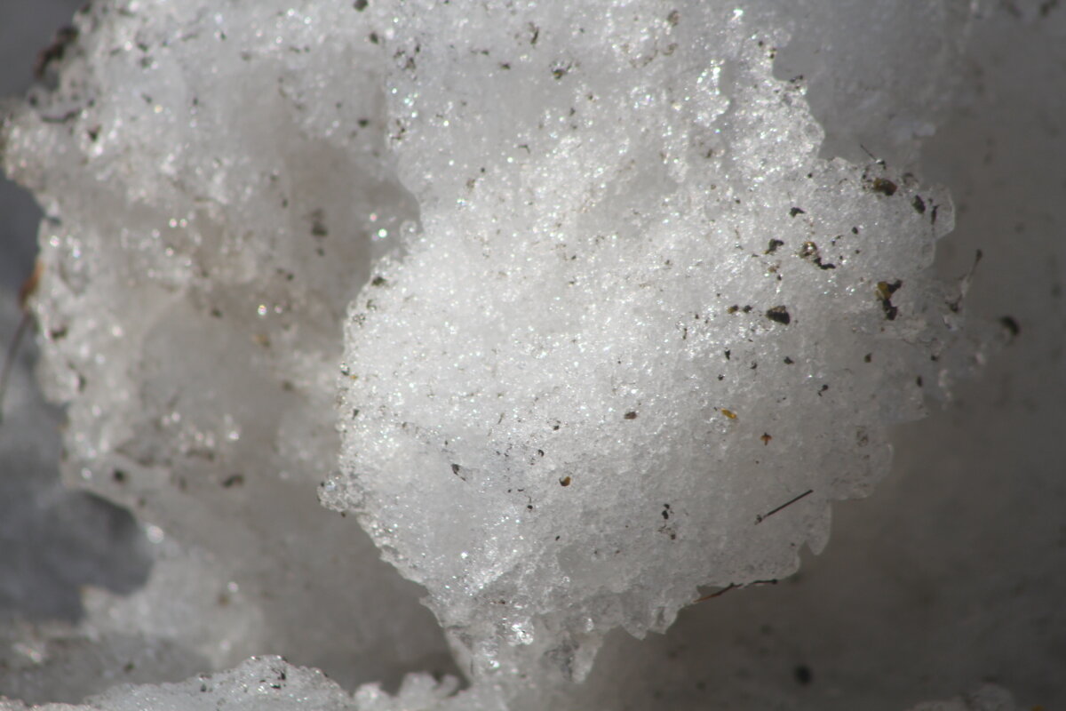 Серенада уходящего снега - олег свирский 