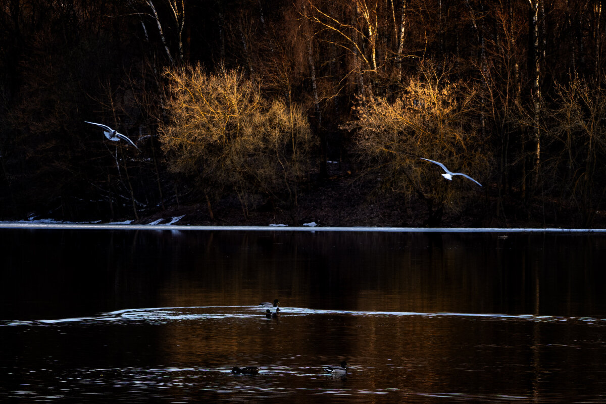 Последние лучи - Владимир 