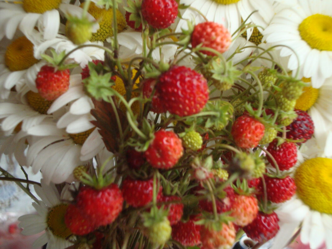 хочется... - Галина Флора