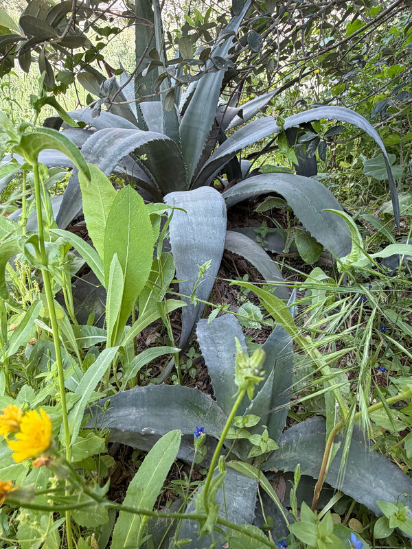 Самопожертвование - Александр Деревяшкин