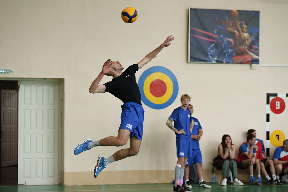 Подача - Виктор Фельдшеров