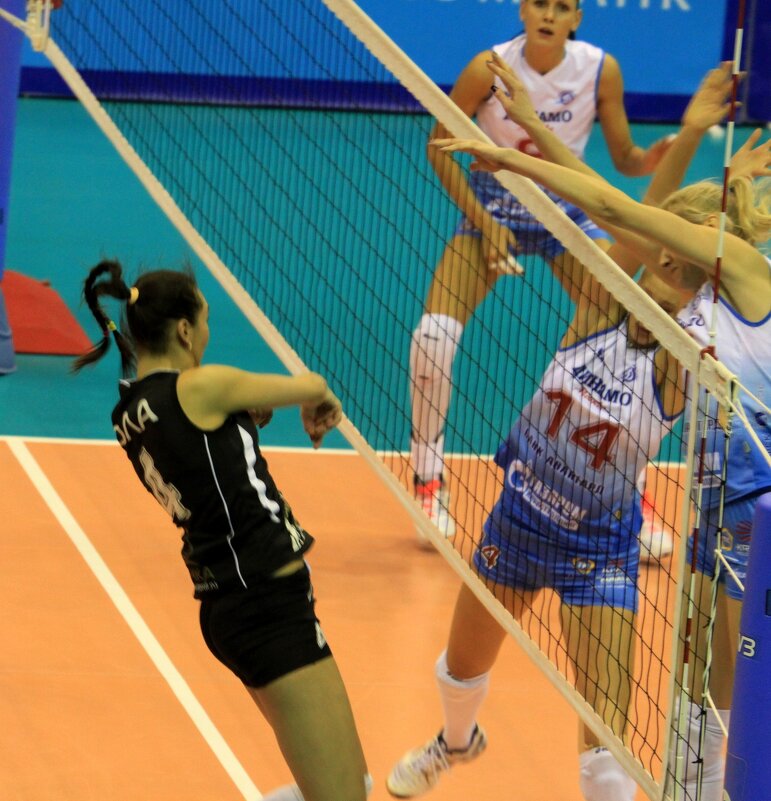 у сетки - Savayr 