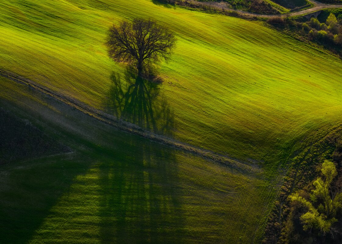 Зеленая тишина - Алекс Римский