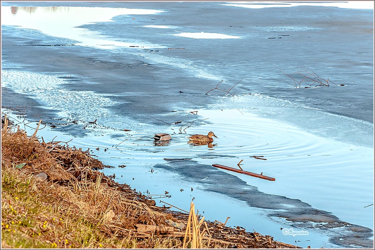 Про апрель... - Aquarius - Сергей Про апрель... - Aquarius - Сергей