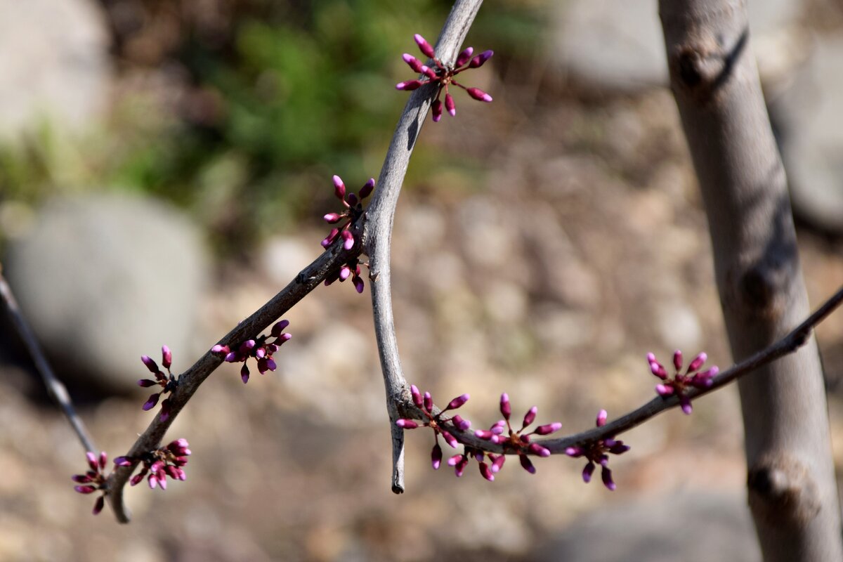 *** - Павленко Михаил 